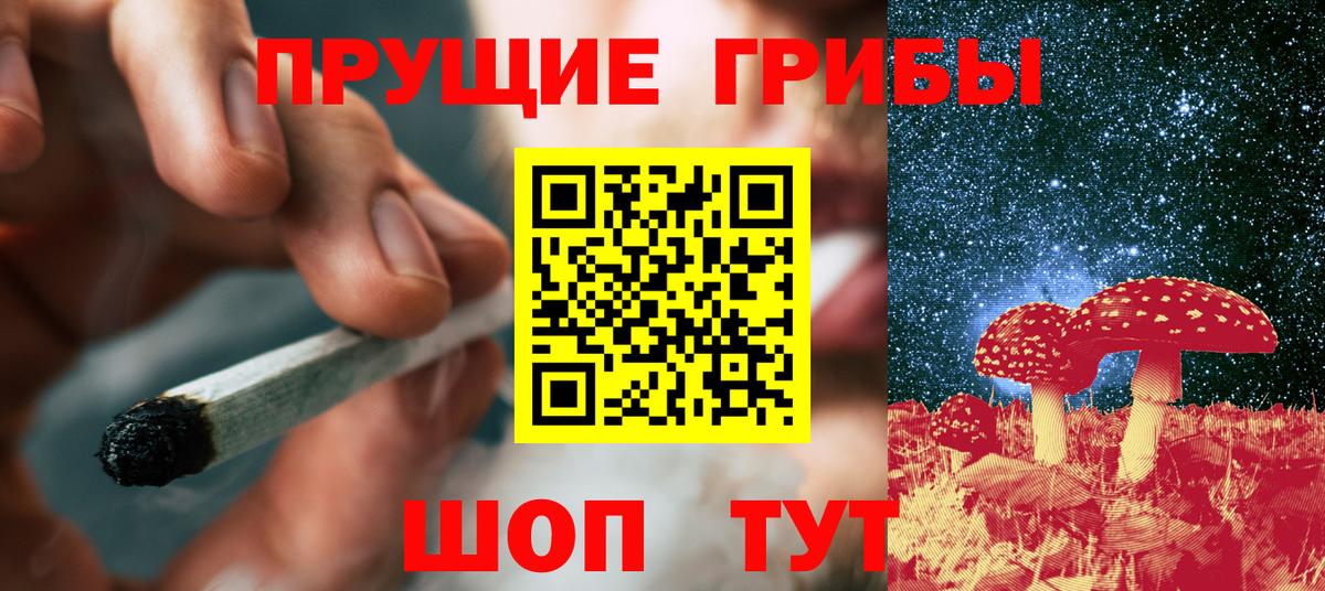 Псилоцибиновые грибы Psilocybine cubensis Аксай